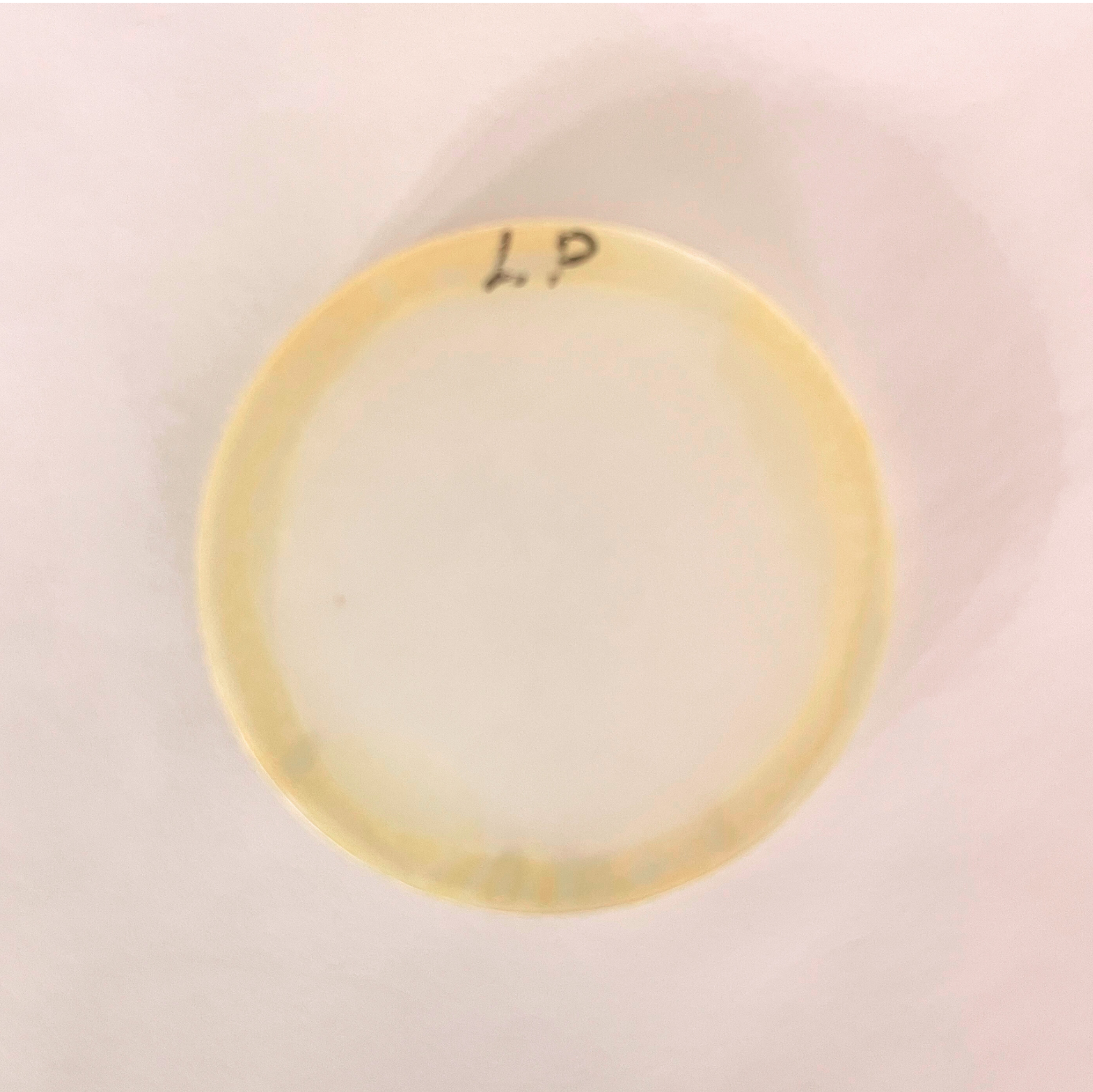 Light Perception Simulation Lens
